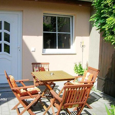 Ferienwohnungen _ Haus Lisa_ Senftenberg Luaran gambar