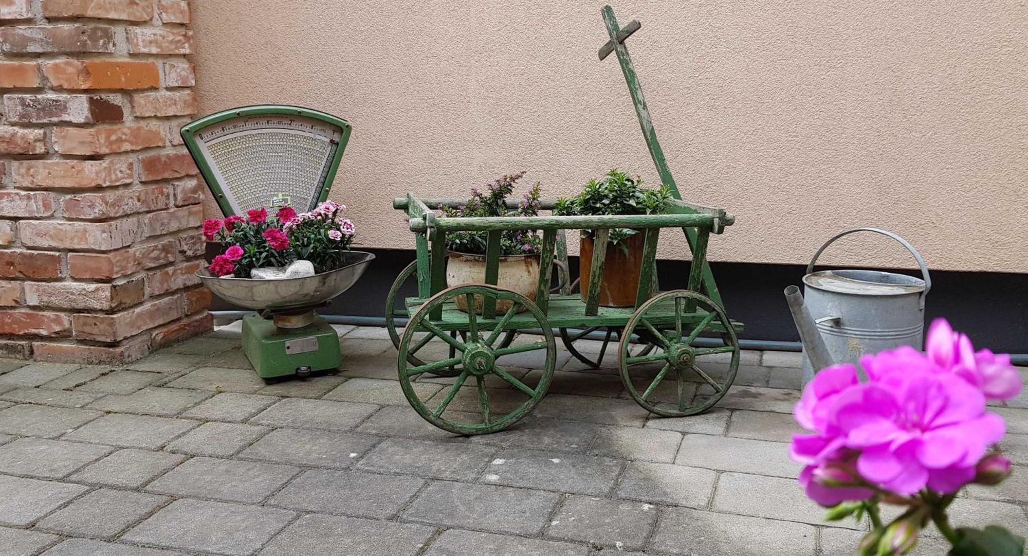 Ferienwohnungen _ Haus Lisa_ Senftenberg Luaran gambar