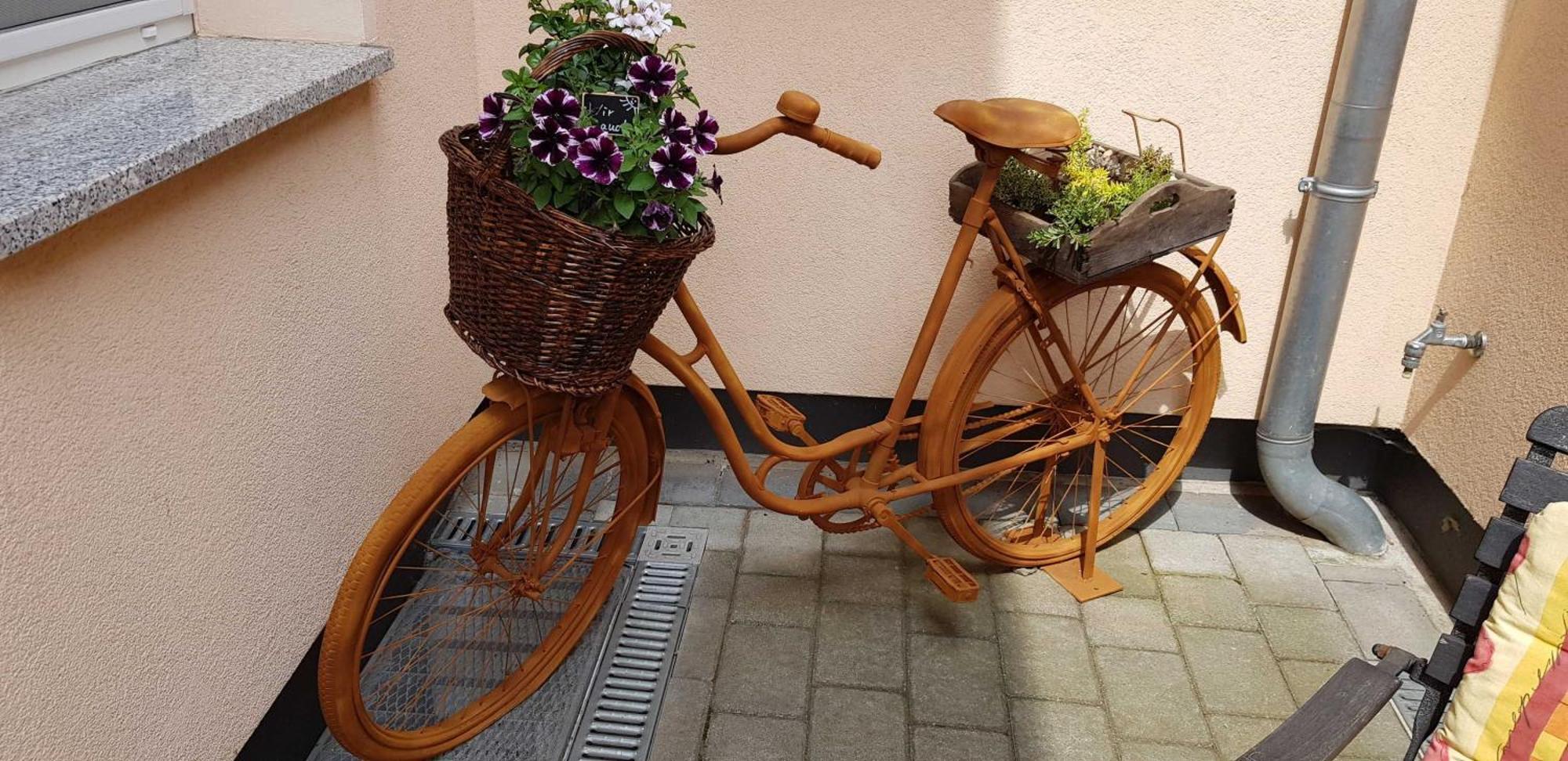 Ferienwohnungen _ Haus Lisa_ Senftenberg Luaran gambar